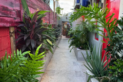 east-side-2217-calle-general-patton