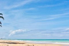 oceanparkbeach